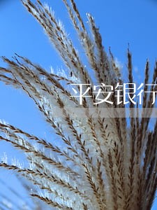 平安银行信用卡逾期交诚意金 平安银行信用卡逾期交诚意金