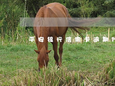平安银行信用卡逾期什么后果 平安银行信用卡逾期什么后果
