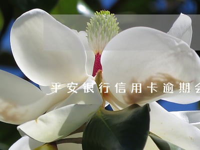 平安银行信用卡逾期会有外访吗 平安银行信用卡逾期会有外访吗
