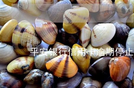 平安银行信用卡逾期停止还款