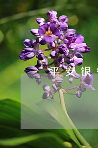 平安银行信用卡逾期储蓄卡冻结 平安银行信用卡逾期储蓄卡冻结