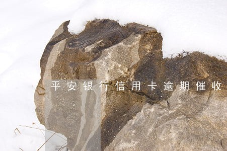 平安银行信用卡逾期催收客服