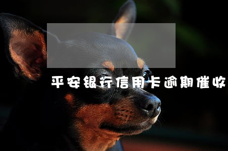 平安银行信用卡逾期催收手段 平安银行信用卡逾期催收手段