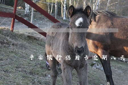平安银行信用卡逾期八天 平安银行信用卡逾期八天