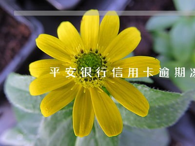 平安银行信用卡逾期冻结 平安银行信用卡逾期冻结