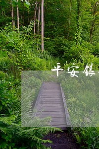 平安银行信用卡逾期冻结状态