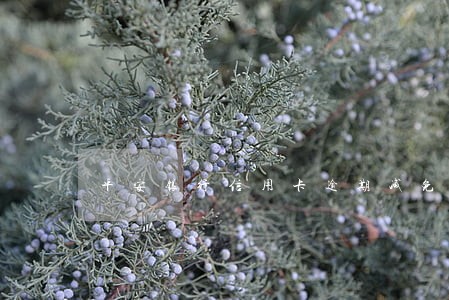 平安银行信用卡逾期减免之后 平安银行信用卡逾期减免之后