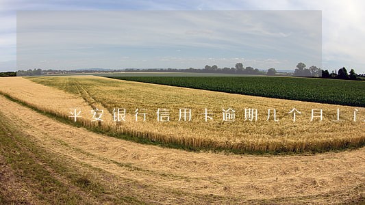 平安银行信用卡逾期几个月上门 平安银行信用卡逾期几个月上门