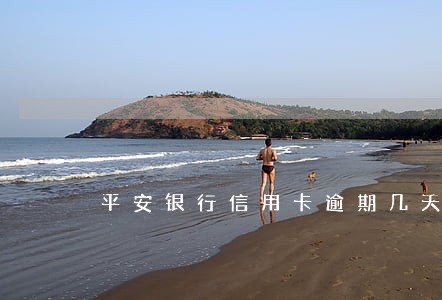 平安银行信用卡逾期几天会被批 平安银行信用卡逾期几天会被批