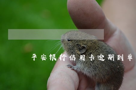 平安银行信用卡逾期到单位