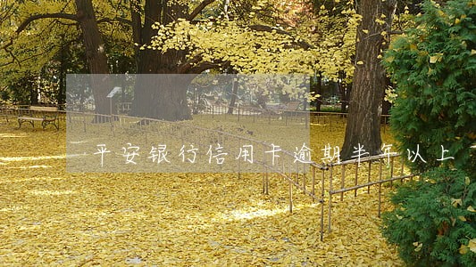 平安银行信用卡逾期半年以上