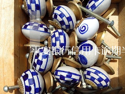 平安银行信用卡逾期半年会怎么样 平安银行信用卡逾期半年会怎么样