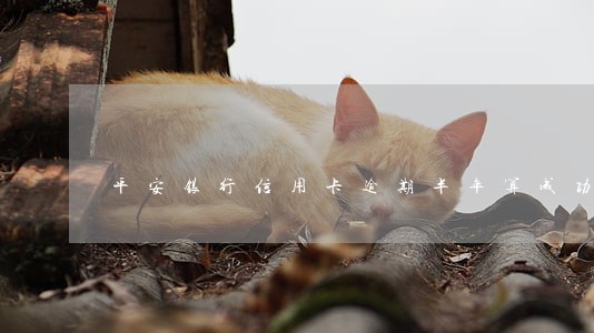 平安银行信用卡逾期半年算成功吗
