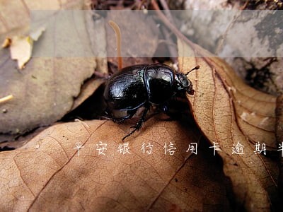 平安银行信用卡逾期半月