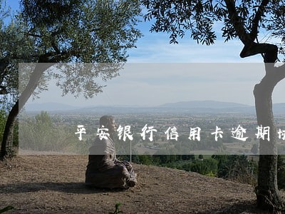 平安银行信用卡逾期协商二次分期