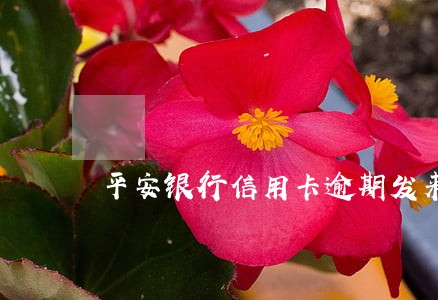平安银行信用卡逾期发来诉讼通知 平安银行信用卡逾期发来诉讼通知