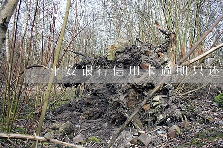 平安银行信用卡逾期只还一点