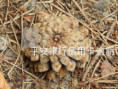 平安银行信用卡逾期可以办理吗 平安银行信用卡逾期可以办理吗