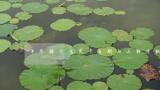 平安银行信用卡逾期后还能提额吗 平安银行信用卡逾期后还能提额吗