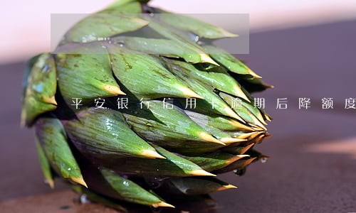平安银行信用卡逾期后降额度 平安银行信用卡逾期后降额度