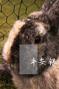 平安银行信用卡逾期外包催收 平安银行信用卡逾期外包催收
