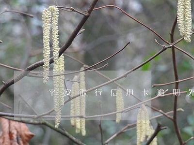平安银行信用卡逾期外访