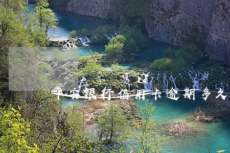 平安银行信用卡逾期多久上门催