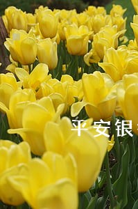 平安银行信用卡逾期多久有减免 平安银行信用卡逾期多久有减免