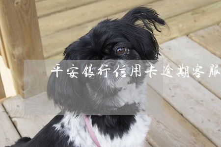 平安银行信用卡逾期客服态度蛮横 平安银行信用卡逾期客服态度蛮横