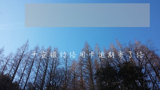 平安银行信用卡逾期寄了信 平安银行信用卡逾期寄了信