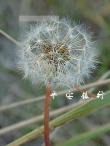 平安银行信用卡逾期怎么沟通 平安银行信用卡逾期怎么沟通