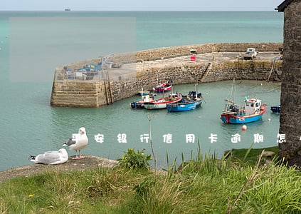 平安银行信用卡逾期怎么算 平安银行信用卡逾期怎么算