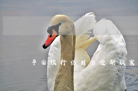 平安银行信用卡逾期报案中心 平安银行信用卡逾期报案中心