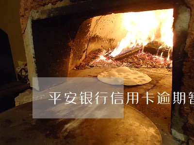 平安银行信用卡逾期暂停使用 平安银行信用卡逾期暂停使用
