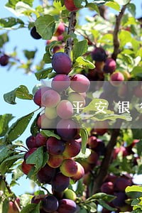 平安银行信用卡逾期短信说上门