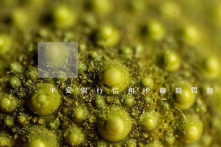 平安银行信用卡逾期罚息怎么罚 平安银行信用卡逾期罚息怎么罚