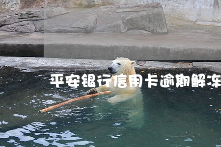 平安银行信用卡逾期解冻 平安银行信用卡逾期解冻