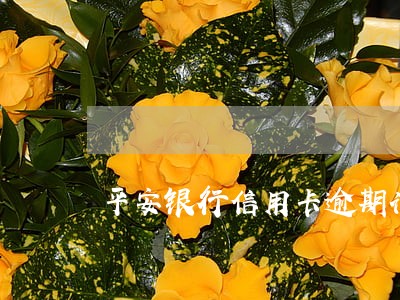平安银行信用卡逾期计算时间