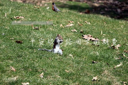 平安银行信用卡逾期费 平安银行信用卡逾期费
