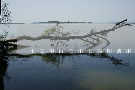 平安银行信用卡逾期费用太高