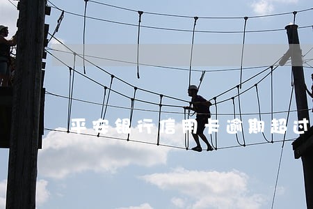 平安银行信用卡逾期超过6个月 平安银行信用卡逾期超过6个月