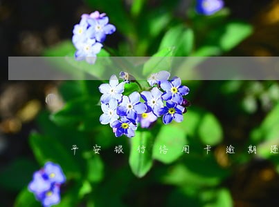 平安银行信用卡逾期还利息 平安银行信用卡逾期还利息