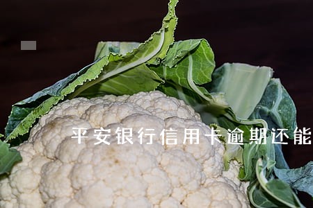 平安银行信用卡逾期还能分期吗 平安银行信用卡逾期还能分期吗