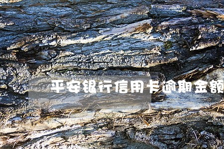平安银行信用卡逾期金额 平安银行信用卡逾期金额