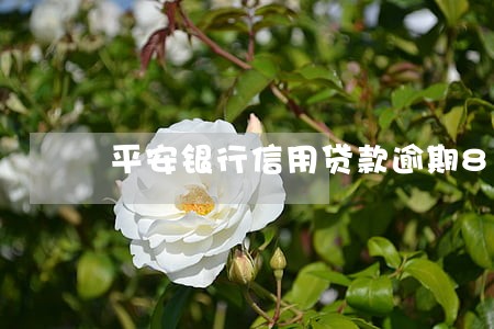 平安银行信用贷款逾期80天 平安银行信用贷款逾期80天