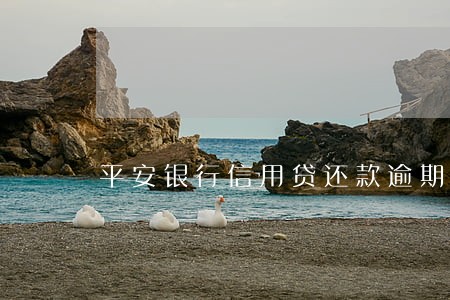 平安银行信用贷还款逾期8天 平安银行信用贷还款逾期8天