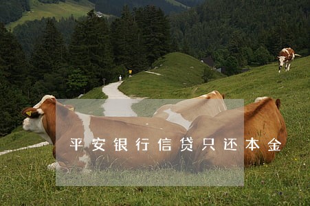 平安银行信贷只还本金 平安银行信贷只还本金