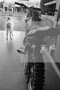 平安银行借款2万逾期