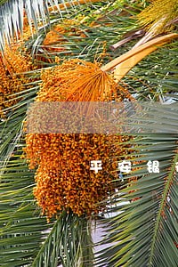 平安银行前几天逾期没事 平安银行前几天逾期没事