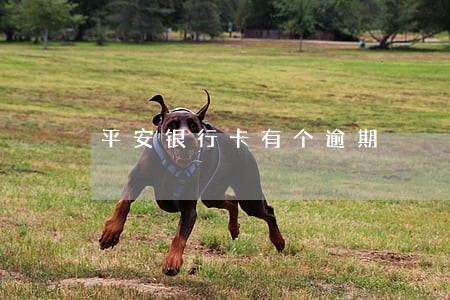 平安银行卡有个逾期